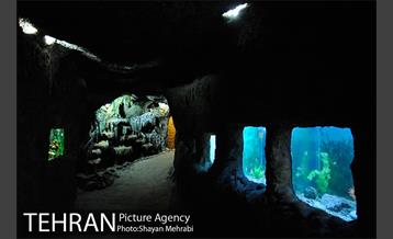 موزه حیات وحش هفت چنار 51