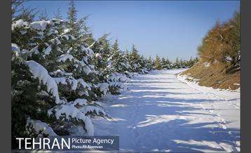 طبیعت برفی تلو 15