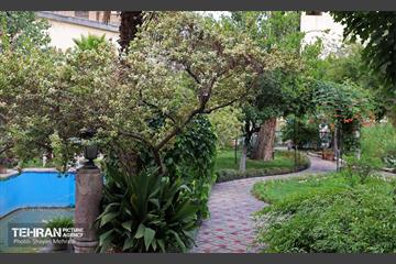 خانه مقدم 15