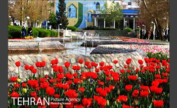 طبیعت بهاری بوستان پلیس  11