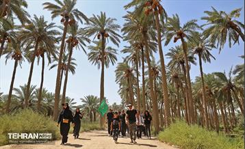 پیاده روی اربعین حسینی؛ طریق العلماء 1