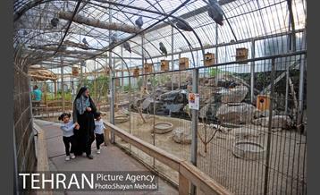 باغ پرندگان تهران 34