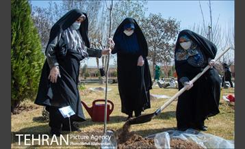 ۱۰۰ نهال به نام ۱۰۰ زن نامدار قرن 17