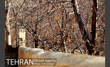 طبیعت پاییزی روستای سنگان 3