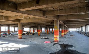 جای خالی پروانه ها 11