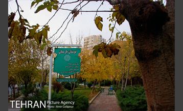 بوستان پارسیان 12