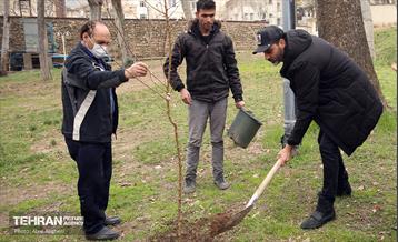 کاشت درخت توسط هنرمندان در فرهنگسرای نیاوران 11