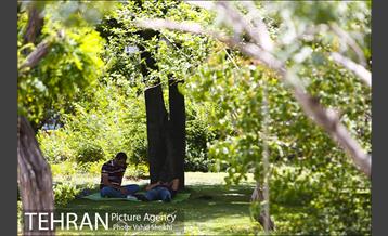 بوستان میعاد 9