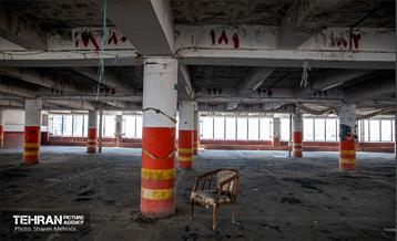 جای خالی پروانه ها 13