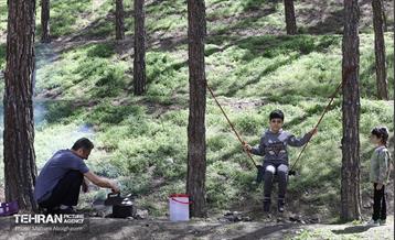 روز طبیعت در پارک جنگلی لویزان 9