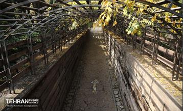 طبیعت پاییزی باغ راه فدک تهران 32