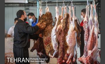 مرکز عرضه دام بهداشتی به مناسبت عید قربان در منطقه 22 تهران 15