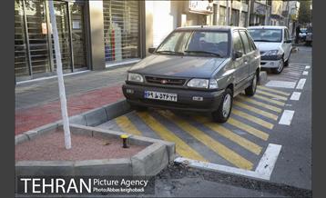 پارک خودرو‌ بین درختان چنار 13