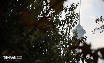 طبیعت پاییزی باغ راه فدک تهران 30