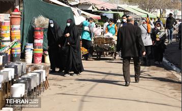 بازار گل محلاتی  31