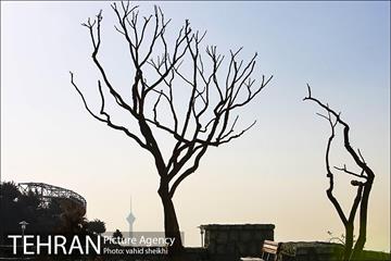 بوستان پرواز 1