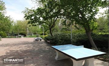 بوستان بانوان نرگس 23