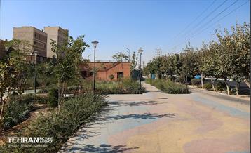 به وقت خدمت؛ باغ‌راه حضرت زهرا(س) محدوده آیت الله سعیدی 49