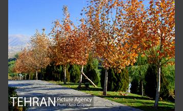 پاییز رنگارنگ بوستان جوانمردان ایران 7