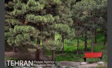 پارک جنگلی لویزان‎ 15