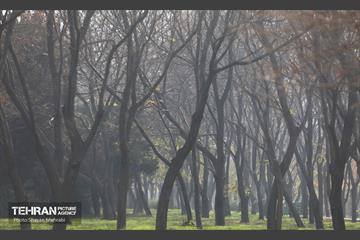 اینجا کارگاهه؛ منطقه پانزده 13