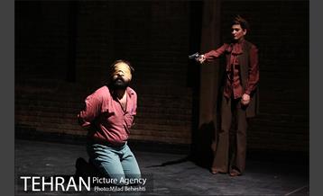 نمایش فیل در تاریکی 14