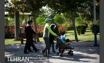 پیاده روی خانوداگی ویژه کارکنان آتشنشانی 10