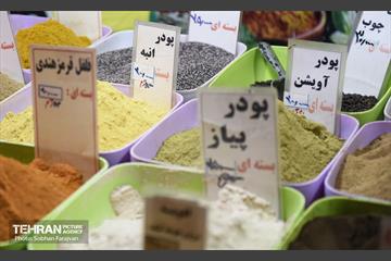 جشنواره وحدت اقوام ایرانی 23