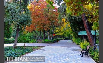پاییز پارک شهر 6