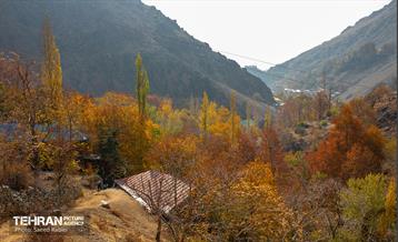 سمفونی رنگ های پاییزی - دربند 25