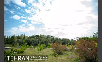 باغ گیاه‌شناسی ملی ایران 8