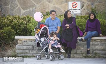 همایش پیاده روی خانوادگی کارکنان سازمان آتش نشانی  9