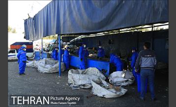 بازدید هیئت عالی ژاپنی از مراکز بازیافت منطقه 5 35