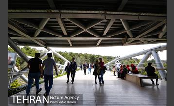 پل طبیعت در تعطیلات نوروز 28