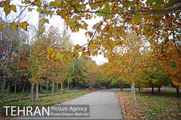 باغ گیاه‌شناسی ملی ایران 19
