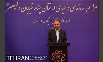 مراسم ساماندهی و احیای درختان چنار خیابان ولیعصر(عج) 15