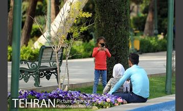 رویش گل های لاله در پارک شهر 9