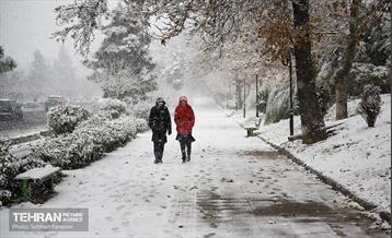 بارش اولین برف زمستانی در تهران 7