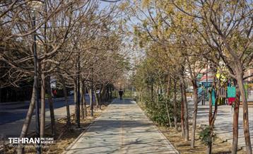 به وقت خدمت؛ باغ‌راه حضرت زهرا(س) محدوده امامزاده حسن (ع) 44