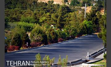 بوستان جنگلی لتمال کن 33