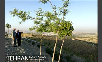 بازدید شهردار تهران از طرح‌های جنگل کاری شمال تهران  7