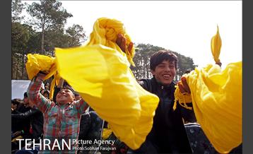 کاشت نهال در بوستان ولایت  21