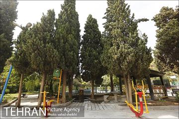 بوستان سنگی 19
