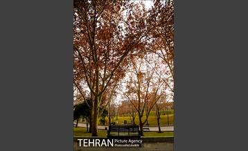 پارک ملت دریک روز زمستانی 3