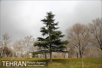 پارک ملت در یک روز زمستانی 2