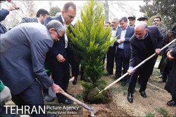 مراسم کاشت نهال در هفته منابع طبیعی (درخت فرهنگ و هنر) 17
