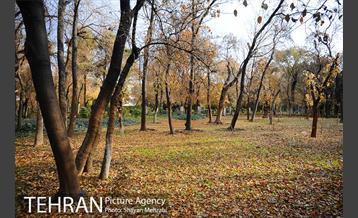 پاییز در پارک شهر 9