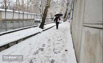 تهران برفی  9