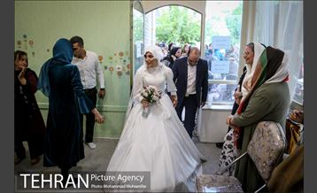 جشن ازدواج دو کارتن خواب بهبود یافته 8