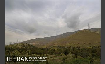 وردیج ، دنیایی از زیبایی 1